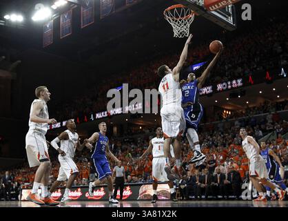 28 febbraio 2013 - Charlotteville, va, USA - Duke's Quinn Cook (2) sfida Evan Nolte (11) nel primo tempo alla John Paul Jones Arena di Charlottesville, Virginia, giovedì 28 febbraio 2013. (Immagine di credito: © Chuck Liddy/MCT/ZUMAPRESS.com) Foto Stock