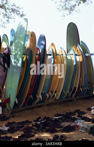 Tavole da surf multicolore a bordo, noleggio tavole in spiaggia Foto Stock