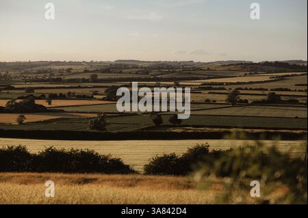 Vista sui campi verdi e gialli dalla collina. Foto Stock