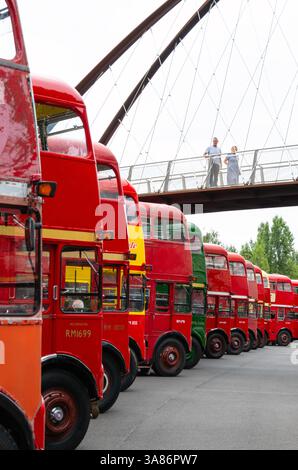 Gli autobus Routemaster sfilano al 70° anniversario del primo autobus Routemaster, RM1, Londra, Inghilterra, Regno Unito Foto Stock