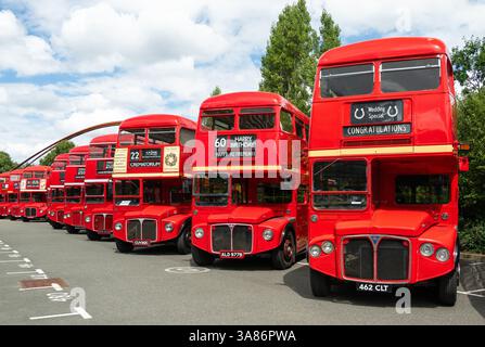 Gli autobus Routemaster sfilano al 70° anniversario del primo autobus Routemaster, RM1, Londra, Inghilterra, Regno Unito Foto Stock