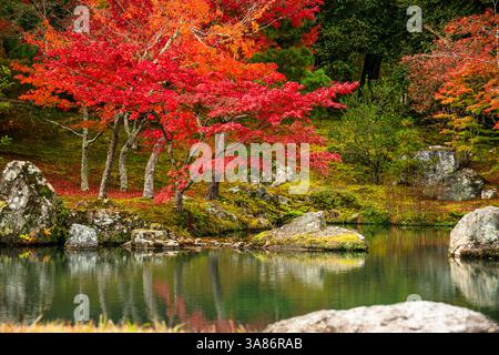 Il tranquillo giardino Zen del tempio Tenryu-ji, UNESCO, presenta un laghetto riflettente circondato da pietre muschiate e alberi autunnali, Kyoto, Honshu, Giappone Foto Stock