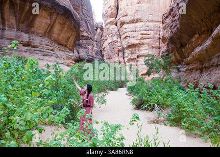 Donna che cammina sul fondo di un canyon con pareti di arenaria nella riserva naturale di Sharaan, Alula, provincia di Medina, Arabia Saudita Foto Stock