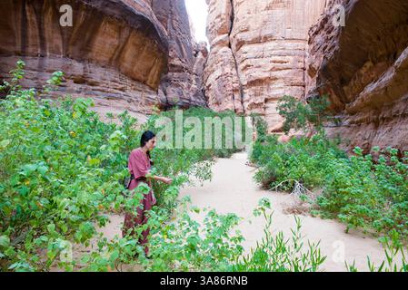Donna che cammina sul fondo di un canyon con pareti di arenaria nella riserva naturale di Sharaan, Alula, provincia di Medina, Arabia Saudita Foto Stock