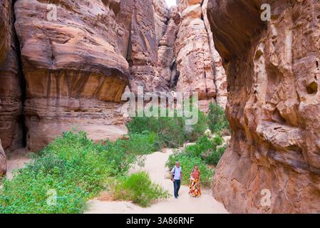 Due persone camminano sul fondo di un canyon con pareti di arenaria nella riserva naturale di Sharaan, Alula, provincia di Medina, Arabia Saudita Foto Stock