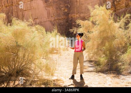 Rana El Zein, vicedirettore di AFALULA, e saxaul bianco (Haloxylon persicum), riserva naturale di Sharaan, Alula, provincia di Medina, Arabia Saudita Foto Stock