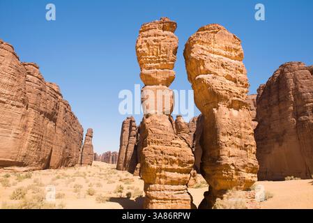 Straordinaria struttura in pietra arenaria chiamata Dancing Rocks nella riserva naturale di Sharaan, Alula, provincia di Medina, Arabia Saudita Foto Stock