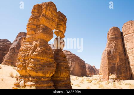 Straordinaria struttura in pietra arenaria chiamata Dancing Rocks nella riserva naturale di Sharaan, Alula, provincia di Medina, Arabia Saudita Foto Stock