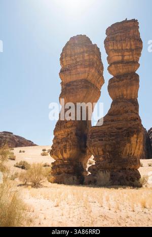 Straordinaria struttura in pietra arenaria chiamata Dancing Rocks nella riserva naturale di Sharaan, Alula, provincia di Medina, Arabia Saudita Foto Stock