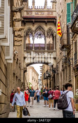 Pont del Bisbe si trova su una stretta strada nel quartiere gotico (Barri Gotic) della città vecchia, Barcellona, Catalogna, Spagna, Europa Foto Stock