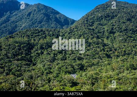 La strada RJ-116 attraversa una striscia di foresta atlantica primaria tra Nova Friburgo e Cachoeiras de Macacu nello stato di Rio de Janeiro, Brasile, sottolineando il delicato equilibrio tra le esigenze di trasporto regionale e la conservazione ambientale. L'autostrada tortuosa fornisce una connettività vitale tra le città che dipendono dal turismo e dal commercio, mentre gli ambientalisti sottolineano la protezione di questa foresta montana biodiversificata, sede di specie endemiche e di ecosistemi cruciali che sequestrano il carbonio, dalla frammentazione e dal degrado. Foto Stock