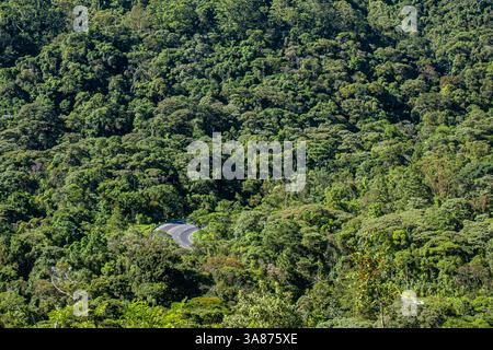 La strada RJ-116 attraversa una striscia di foresta atlantica primaria tra Nova Friburgo e Cachoeiras de Macacu nello stato di Rio de Janeiro, Brasile, sottolineando il delicato equilibrio tra le esigenze di trasporto regionale e la conservazione ambientale. L'autostrada tortuosa fornisce una connettività vitale tra le città che dipendono dal turismo e dal commercio, mentre gli ambientalisti sottolineano la protezione di questa foresta montana biodiversificata, sede di specie endemiche e di ecosistemi cruciali che sequestrano il carbonio, dalla frammentazione e dal degrado. Foto Stock