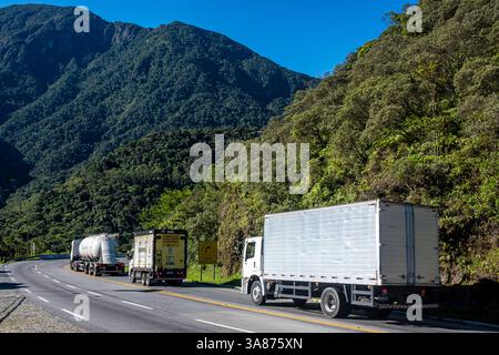 La strada RJ-116 attraversa una striscia di foresta atlantica primaria tra Nova Friburgo e Cachoeiras de Macacu nello stato di Rio de Janeiro, Brasile, sottolineando il delicato equilibrio tra le esigenze di trasporto regionale e la conservazione ambientale. L'autostrada tortuosa fornisce una connettività vitale tra le città che dipendono dal turismo e dal commercio, mentre gli ambientalisti sottolineano la protezione di questa foresta montana biodiversificata, sede di specie endemiche e di ecosistemi cruciali che sequestrano il carbonio, dalla frammentazione e dal degrado. Foto Stock