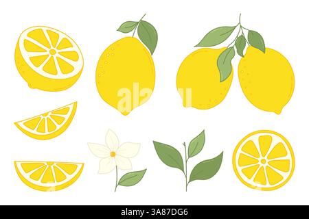 Set di frutti di limone disegnati a mano. Limoni freschi, frutti interi di limone, fiori, foglie, fette di limone e limone tagliato a metà, limoni tritati. Limoni cartoni animati Illustrazione Vettoriale