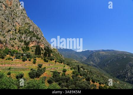Delfi, Valle della Focide, Grecia Foto Stock