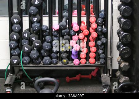 West Islip, New York, Stati Uniti d'America - 16 febbraio 2025: I manubri dai colori vivaci sono disposti in maniera ordinata sui rack di una palestra. Foto Stock