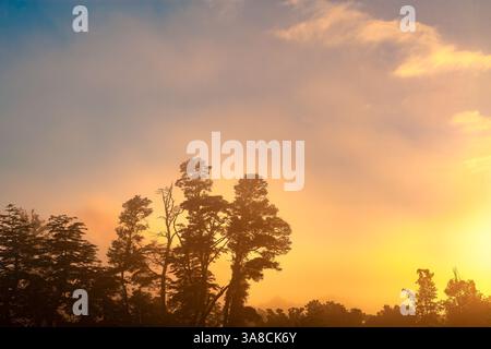 La luce dorata dell'alba proietta un caldo bagliore su una fattoria a Villarrica, in Cile. Foto Stock