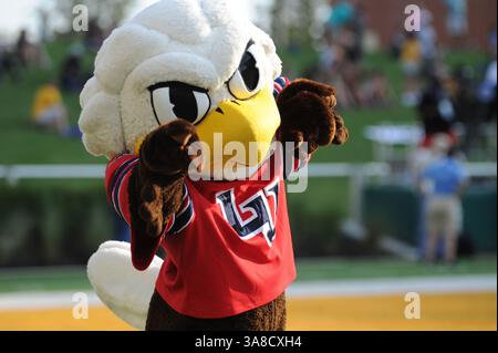 2 settembre 2017: Mascotte dei Liberty Flames alla partita di football NCAA tra i Baylor Bears e i Liberty Flames al McLane Stadium di Waco, Texas. Matthew Lynch/CSM(immagine di credito: &Copy; Matthew Lynch/CSM tramite filo ZUMA) Foto Stock