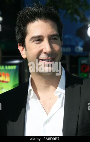 26 ottobre 2008 - Westwood, CA, Stati Uniti - 26 ottobre 208 - Westwood, California - David Schwimmer. "Madagascar: Escape 2 Africa", la prima di Los Angeles si tiene al Mann Village Theatre. Credito fotografico: Michael Jade/AdMedia Foto Stock
