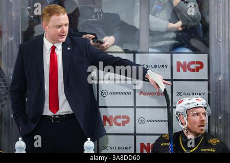 Norimberga, Germania. 28 marzo 2025. Hockey su ghiaccio: DEL, Nuremberg Ice Tigers - ERC Ingolstadt, round del campionato, quarti di finale, 6° giorno all'Arena Nürnberger Versicherung. L'allenatore di Norimberga Mitch o'Keefe reagisce al corso della partita. Crediti: Daniel Karmann/dpa/Alamy Live News Foto Stock