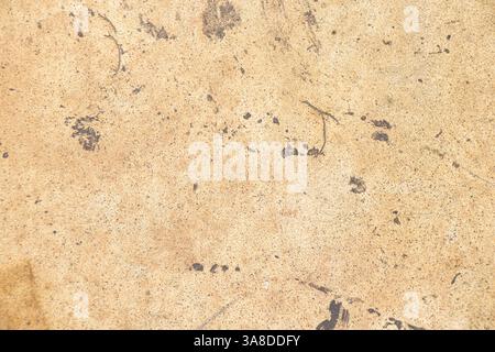 Beige la vecchia tappezzeria in pelle sporca con macchie e graffi sulla sedia come sfondo da vicino Foto Stock