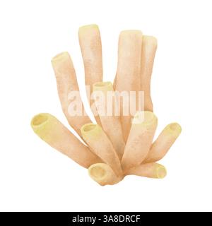 Coralli tubolari marini e oceanici in tonalità beige. Illustrazione digitale ad acquerello. Una spugna marina del mondo sottomarino, evidenziata su un dorso bianco Foto Stock