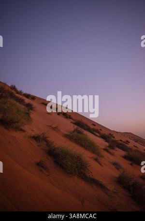 Oman, Medio Oriente: Una duna di sabbia rossa al tramonto a Wahiba Sands (Sharqiya Sands), la vasta duna di sabbia piena di deserto a sud della città di Sur Foto Stock