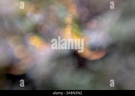 Texture, sfondo con riflessi luminosi colorati e sfocati Foto Stock