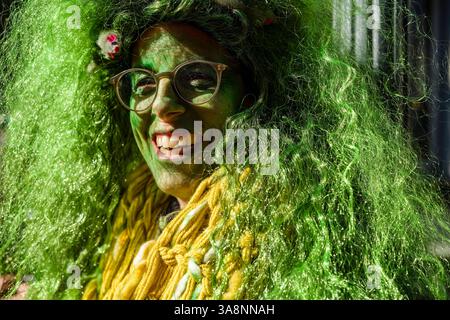 Le persone mascherate celebrano il tipico carnevale di Lucerna nelle strade della città. Cantone di Lucerna Svizzera FB 2025 0085 Foto Stock