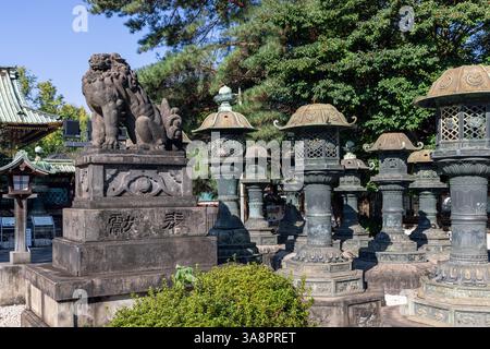 Il leone komainu guardiano sorge su un piedistallo tra lanterne di bronzo all'ingresso del Santuario scintoista Ueno Toshogu a Tokyo Foto Stock