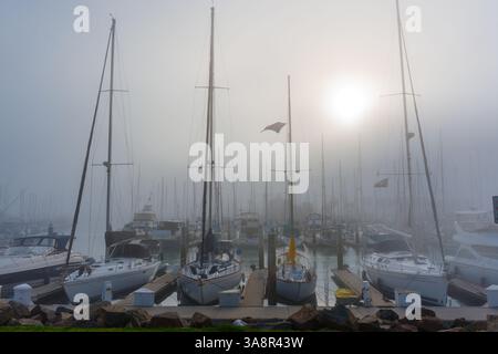 Oceanside, California - 3 gennaio 2025: Serena scena mattutina a Oceanside Harbor, California, con barche a vela ancorate nella nebbia con il sole fain Foto Stock