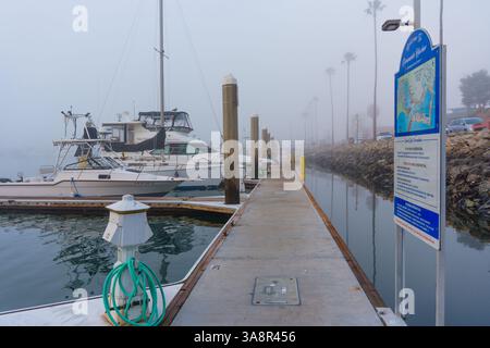 Oceanside, California - 3 gennaio 2025: Serena vista di una mattina nebbiosa all'Oceanside Harbor, con barche attraccate lungo il molo, palme e un Foto Stock
