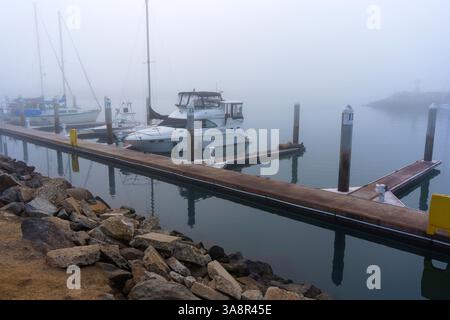 Oceanside, California - 3 gennaio 2025: Tranquilla marina di Oceanside, California, con barche ormeggiate in un'atmosfera nebbiosa, evidenziando st Foto Stock