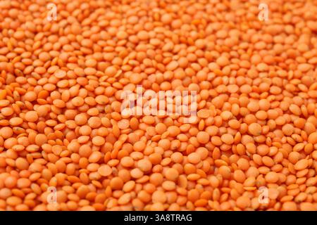 Lenticchie rosse grezze come sfondo, vista ravvicinata Foto Stock
