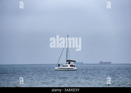 Danzica, Polonia - 11.11.2024: Uno yacht che naviga vicino alla baia di Gdańsk sotto cieli nuvolosi, con un gabbiano che sorvola lo yacht. Foto Stock