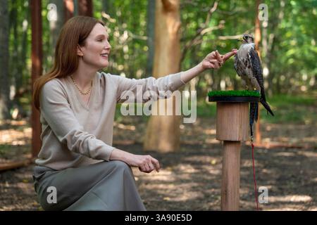 Le sirene Julianne Moore Foto Stock
