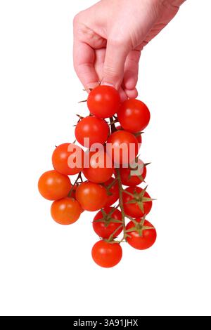 Una mano regge un mucchio di pomodori rossi. I pomodori sono maturi e pronti da mangiare. Concetto di freschezza e abbondanza, poiché la mano sta tenendo un grande Foto Stock