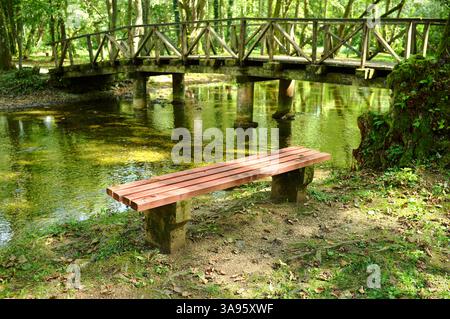 Panchina lungo il flusso dell'acqua sorgiva con un piccolo ponte sfocato nel parco del fiume Bosna, Sarajevo, Bosnia ed Erzegovina Foto Stock