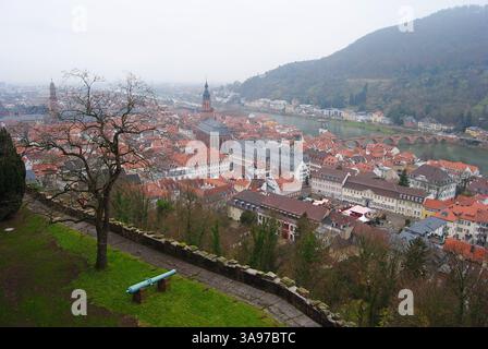 Heidelberg, Germania – 12 dicembre 2013. Vista su Heidelberg, con edifici storici, vegetazione e fiume Neckar, in inverno. Foto Stock