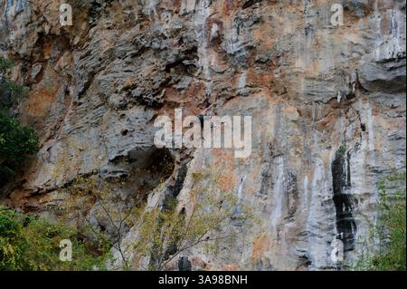 L'arrampicatore sale su una scogliera di pietra calcarea testurizzata con una mossa audace Foto Stock
