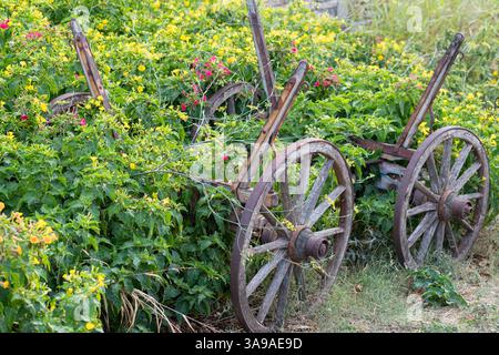 Vecchio carro in legno usato come decorazione con piante Foto Stock