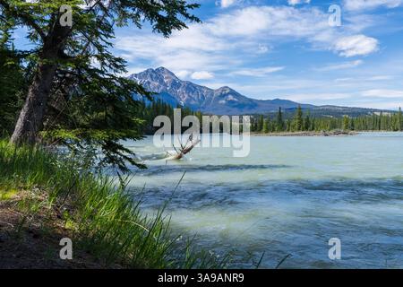 Il fiume Athabasca scorre attraverso il Jasper National Park, Alberta, Canada. Vista panoramica mozzafiato sulle Montagne Rocciose canadesi. Monte Pyramid Foto Stock