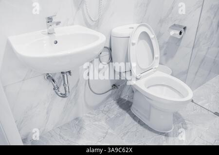 Lavabo pulito e moderno nel bagno dell'hotel, bagno in tonalità di colore bianco igienico Foto Stock