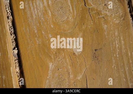 Primo piano di tavole di legno intemprate con grana naturale e consistenza rustica. Foto Stock