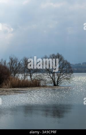 Vista verticale sul lago con alberi sulla terra esposta e dolci ondulazioni in una giornata ventosa, cieli nuvolosi Foto Stock