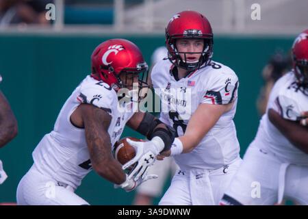 4 novembre 2017: Il quarterback dei Cincinnati Bearcats Hayden Moore (8) consegna la palla al running back Gerrid Doaks (23) durante la partita tra i Cincinnati Bearcats e Tulane Green Wave al Benson Field allo Yulman Stadium di New Orleans, LOUISIANA. I Cincinnati Bearcats vinsero 17-16. Stephen Lew/CSM (immagine di credito: &Copy; Stephen Lew/CSM tramite cavo ZUMA) Foto Stock