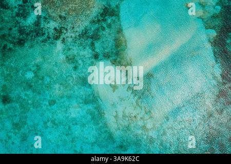 Vista aerea dell'isola di Guyam, Siargao, Una piccola e bellissima isola circondata da acque cristalline, spiagge di sabbia bianca e lussureggianti palme Foto Stock