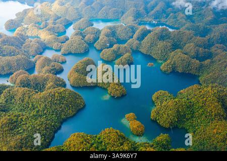Vista aerea mozzafiato di Sohoton Cove, Un paradiso nascosto di rigogliose scogliere calcaree, lagune turchesi e grotte misteriose a Siargao, Filippine Foto Stock