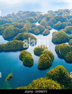 Vista aerea mozzafiato di Sohoton Cove, Un paradiso nascosto di rigogliose scogliere calcaree, lagune turchesi e grotte misteriose a Siargao, Filippine Foto Stock