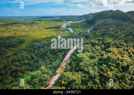 Endless Coconut Plantation of Siargao - Un meraviglioso mare di torreggianti palme che si estende attraverso l'isola, che mostra la bellezza della natura ed è Foto Stock